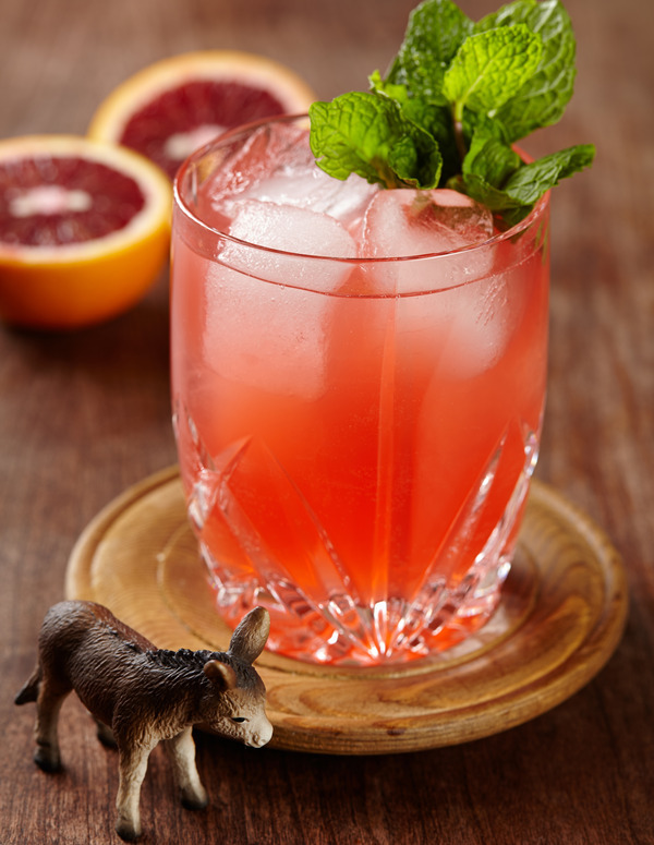 Sanguinello Mule